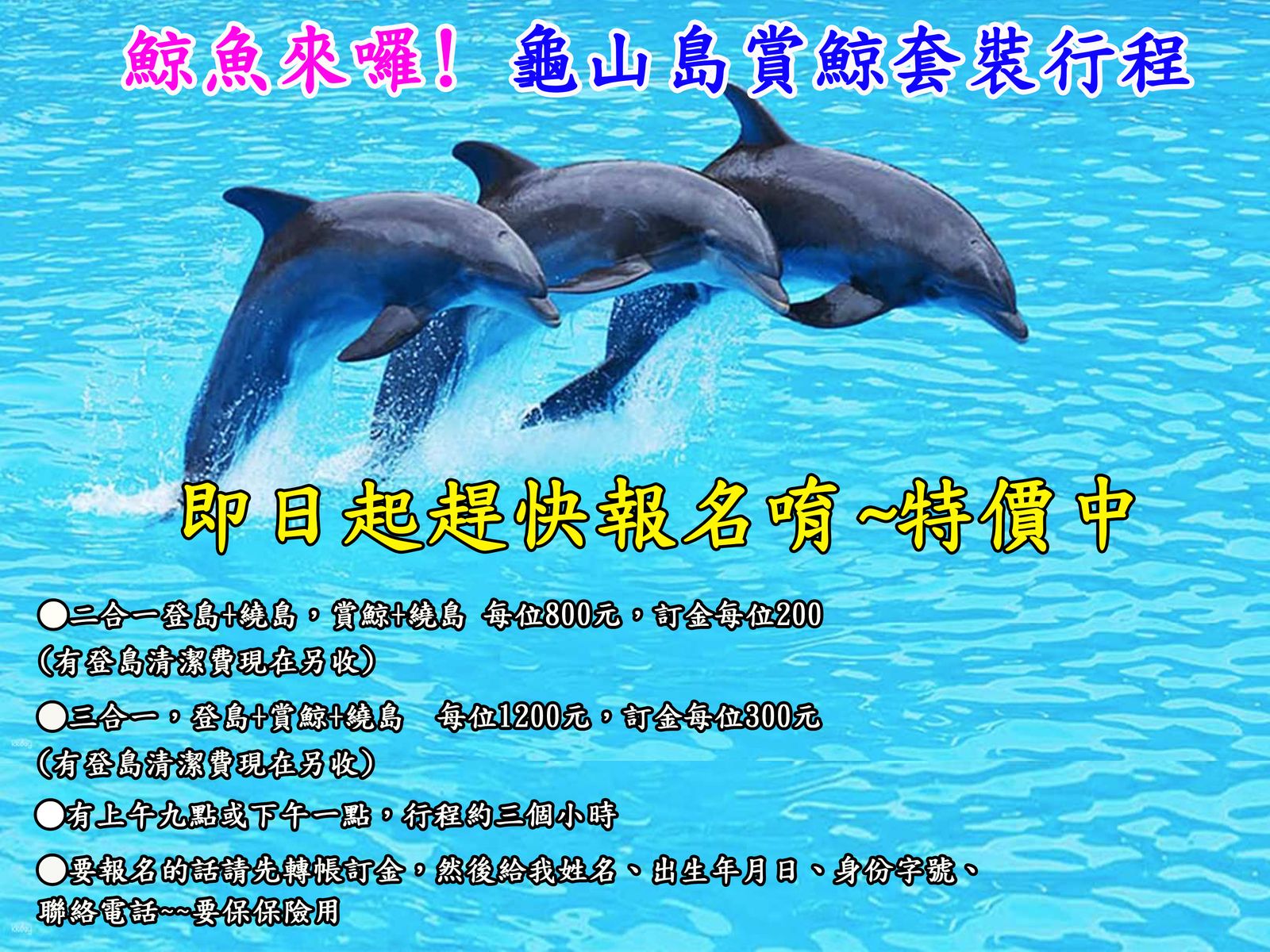 即日起趕快報名唷~特價中 即日起趕快報名唷~特價中